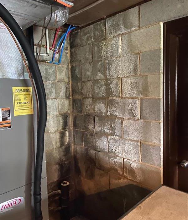 A basement wall that could have potential mold