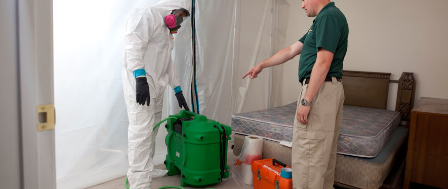 Hershey, PA mold removal process