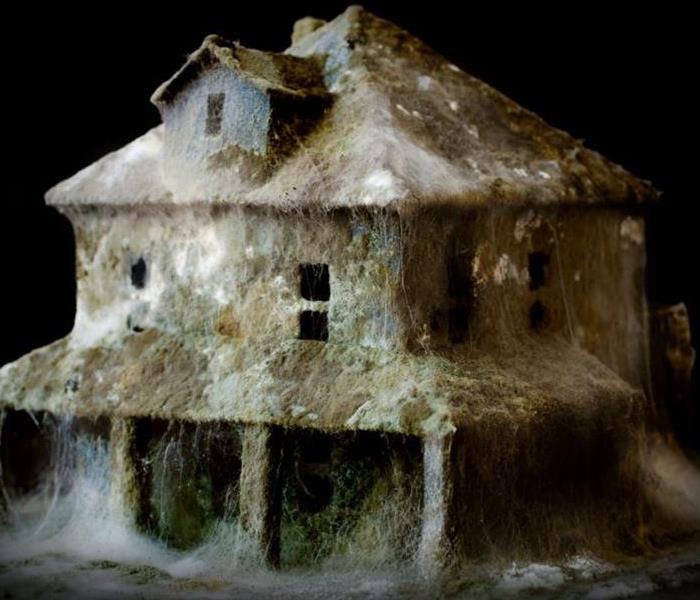 a small model of a home completely covered in mold