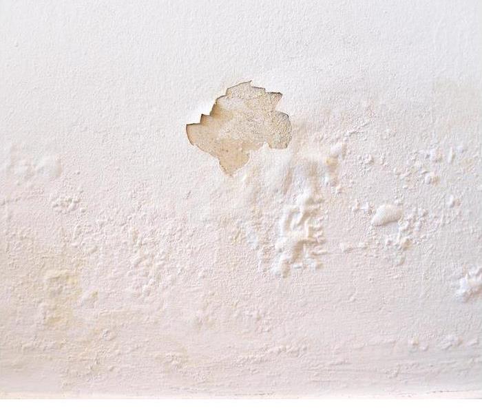 white wall with water damage spots and peeling paint